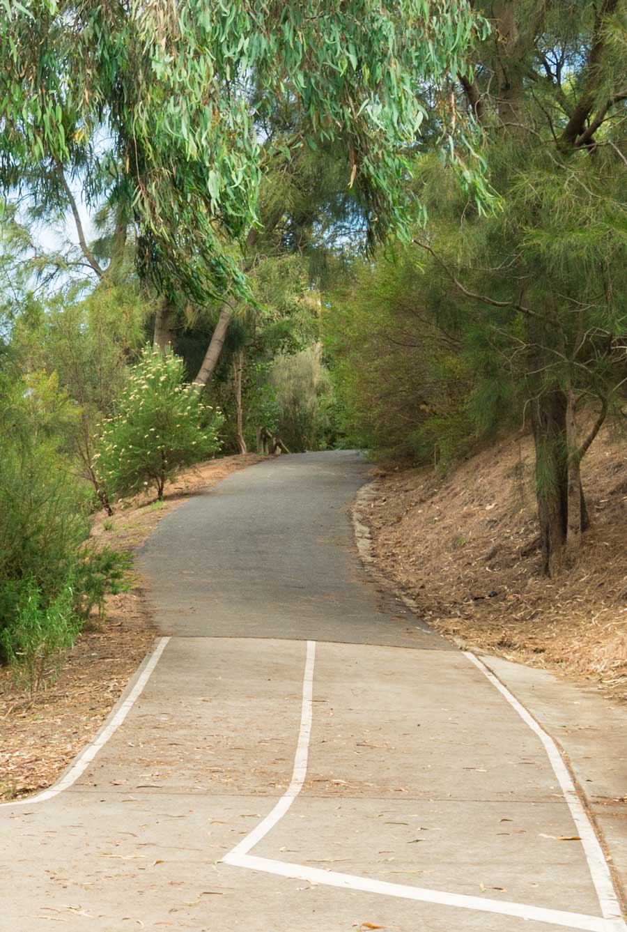 yarra trails mtb